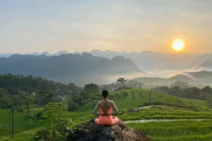 Yoga and Meditation Retreat