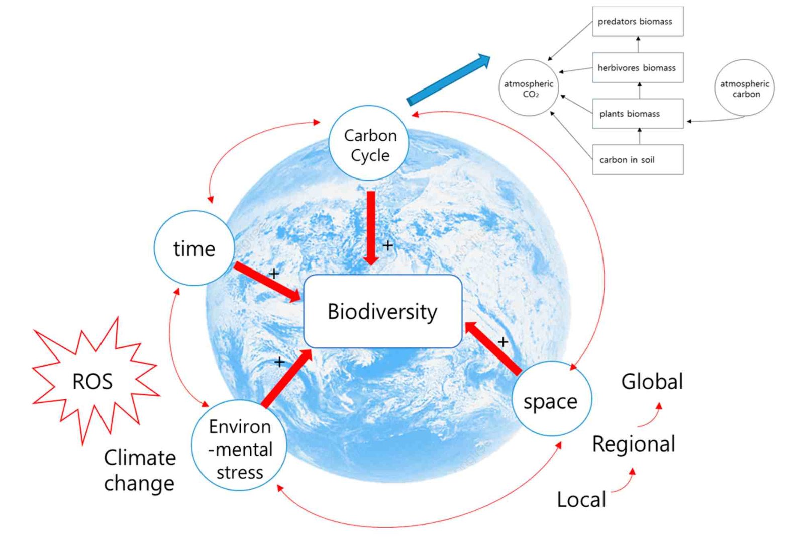 How to Why Climate Considerations Matter when Moving Step by Step for