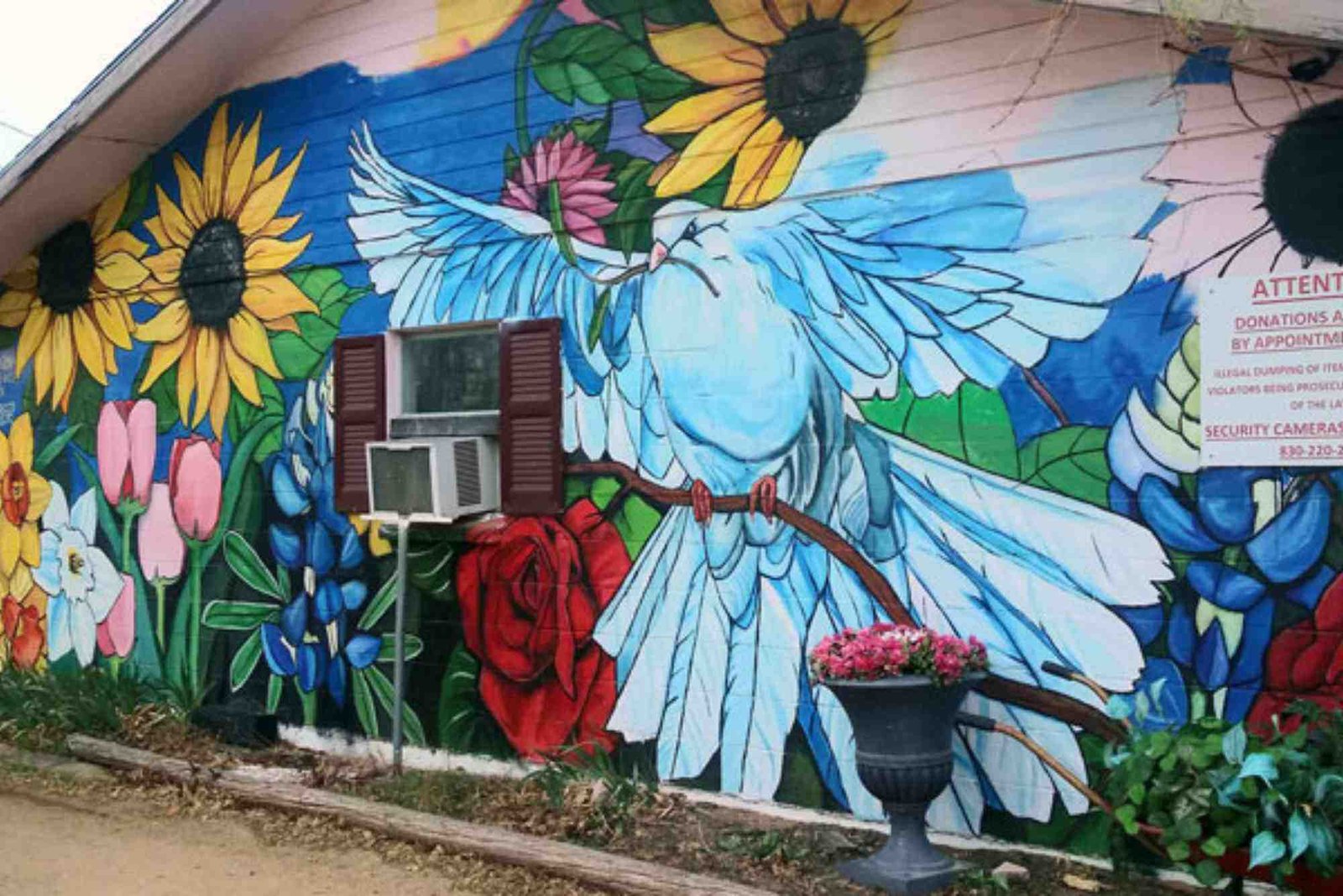 Painters in Buffalo, NY